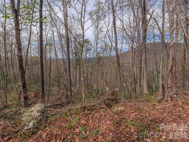 91 & 101 Cedar Mountain Road, Asheville, NC 28803