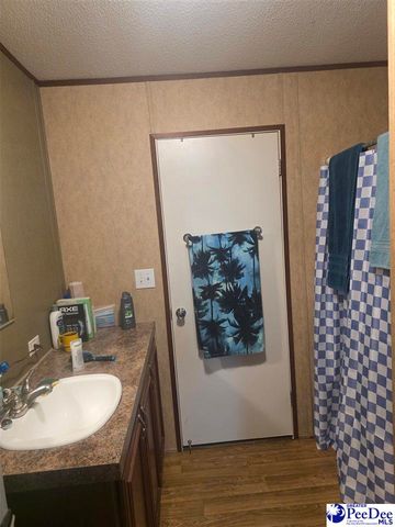 3253 Four Oaks Loop, Latta, SC 29565