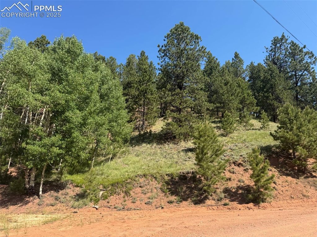 281 Pikes Peak Drive, Divide, CO 80814 — exterior