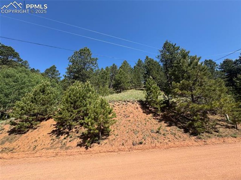 281 Pikes Peak Drive, Divide, CO 80814 — photo 2