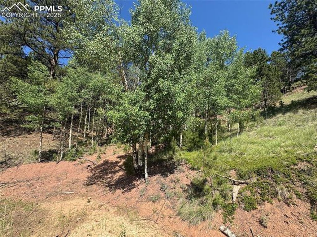 281 Pikes Peak Drive, Divide, CO 80814 — photo 4