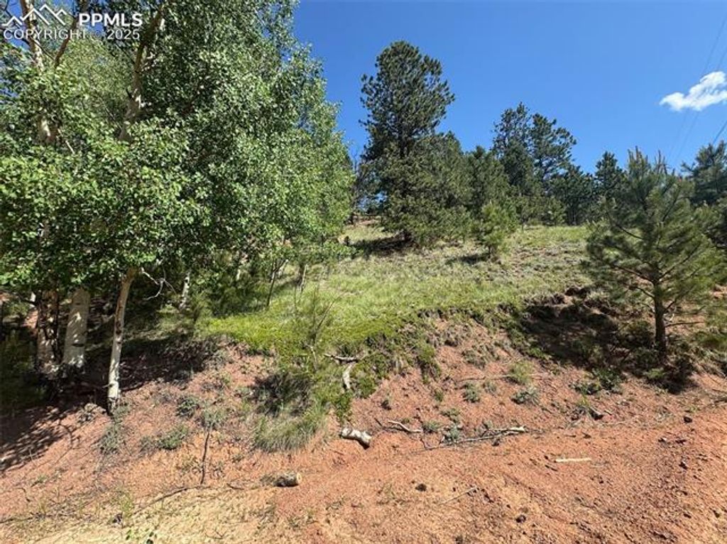 281 Pikes Peak Drive, Divide, CO 80814 — photo 5