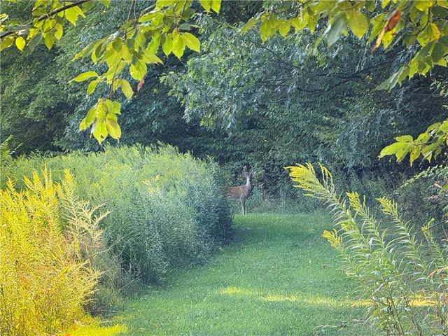 4040 County Road 141, Covert, NY 14847