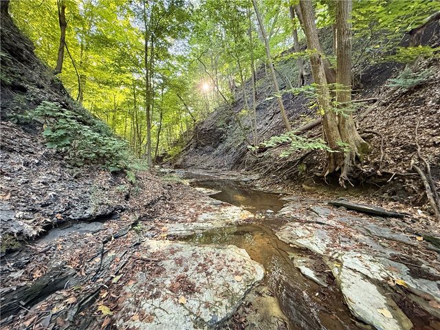 4040 County Road 141, Covert, NY 14847