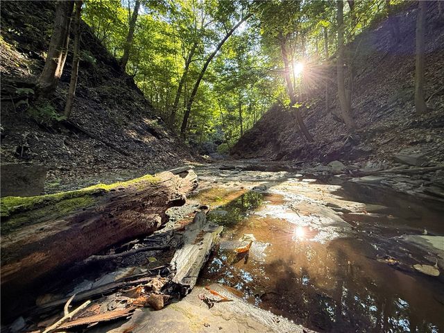 4040 County Road 141, Covert, NY 14847