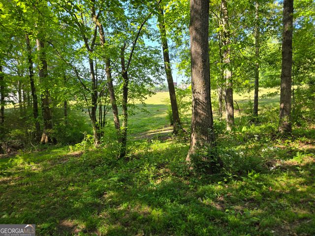 1.9 Hwy 197 S, Clarkesville, GA 30523