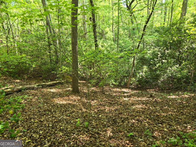 1.9 Hwy 197 S, Clarkesville, GA 30523