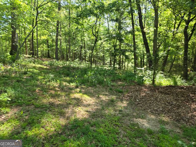 1.9 Hwy 197 S, Clarkesville, GA 30523