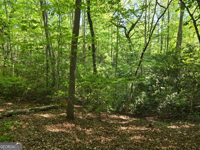 1.9 Hwy 197 S, Clarkesville, GA 30523