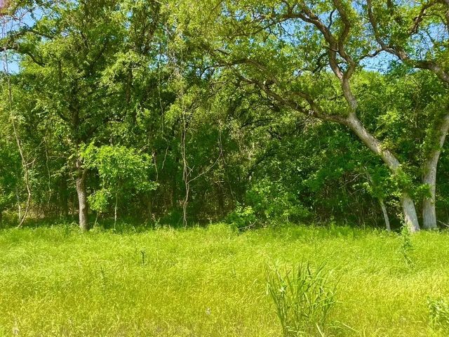 Lot 48 Antrim Court, Poolville, TX 76487