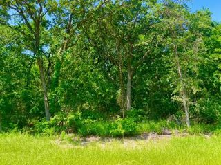 Lot 48 Antrim Court, Poolville, TX 76487