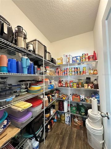 1056 NAES LANE, Lake Wales, FL 33853