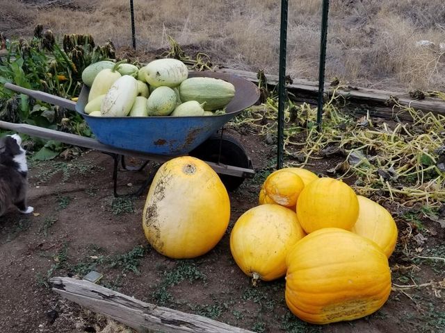 1686 NE Negus Way, Redmond, OR 97756