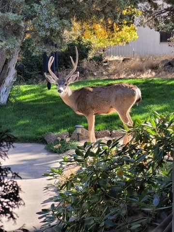 1686 NE Negus Way, Redmond, OR 97756