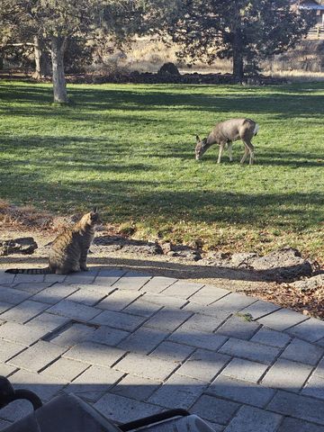 1686 NE Negus Way, Redmond, OR 97756