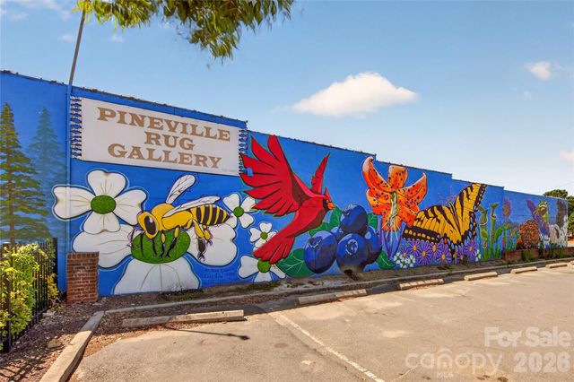 510 Ridgely Green Drive, Pineville, NC 28134
