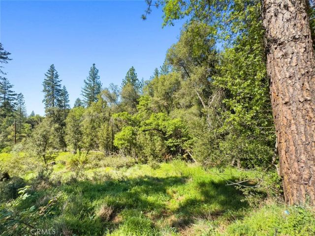 22666 Lower Quail Mine Road, Sonora, CA 95370