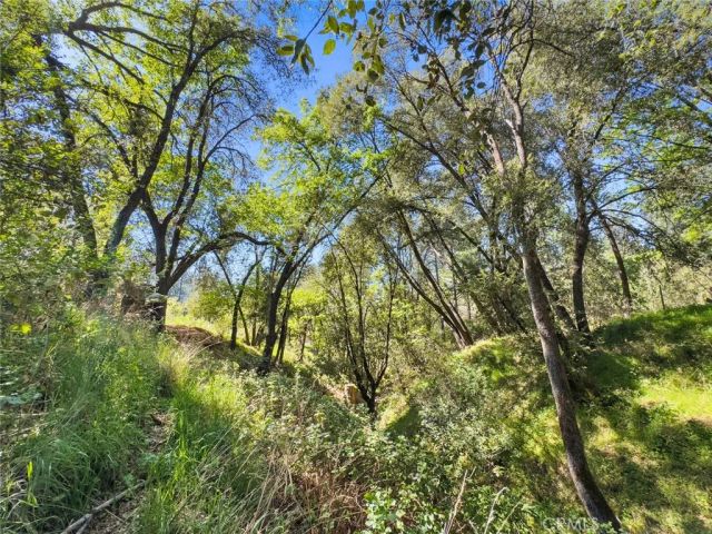 22666 Lower Quail Mine Road, Sonora, CA 95370