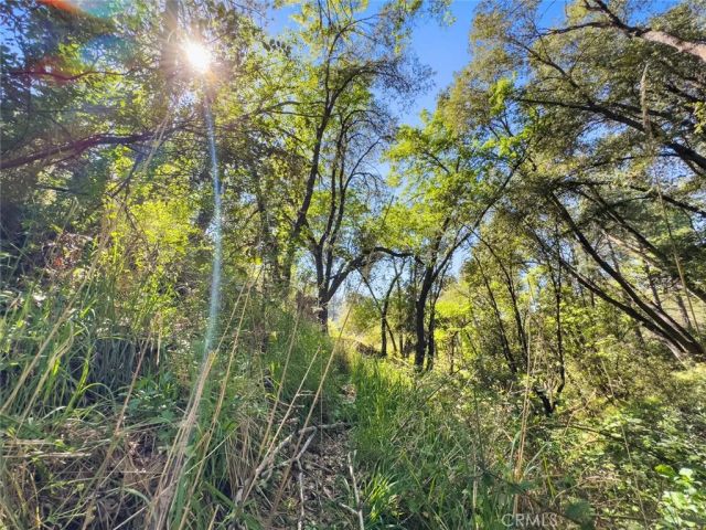 22666 Lower Quail Mine Road, Sonora, CA 95370