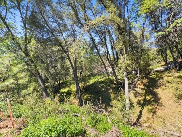 22666 Lower Quail Mine Road, Sonora, CA 95370