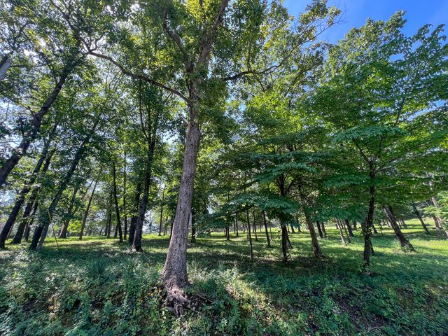 24480 County Road 255, Pittsburg, MO 65724