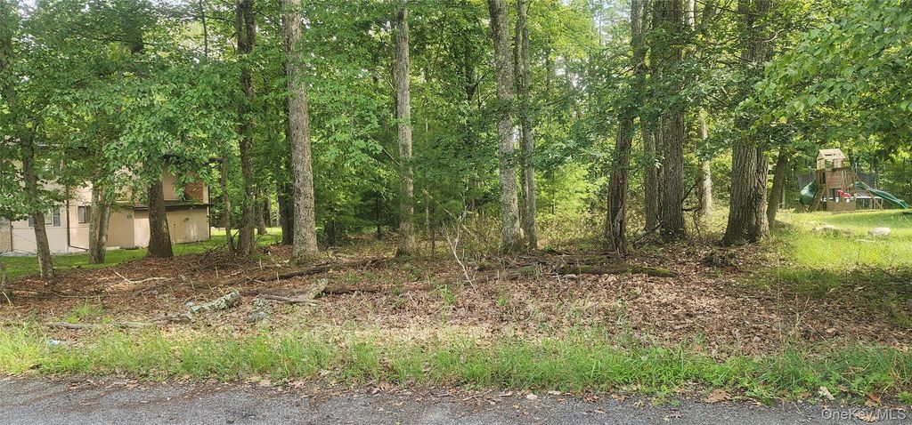 Chelsea Lane, Rock Hill, NY 12775