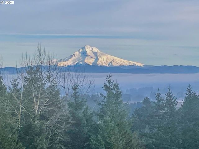 10900 Se 258TH Pl, Damascus, OR 97089