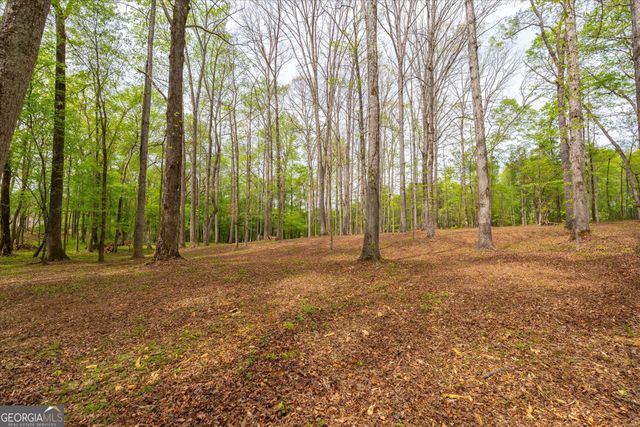 87 Wildwood Drive, Temple, GA 30179