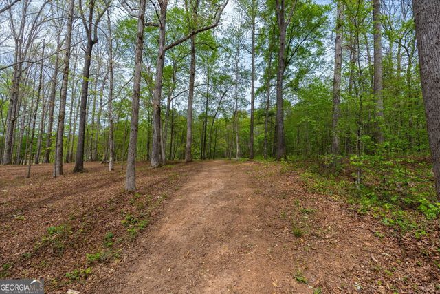 87 Wildwood Drive, Temple, GA 30179