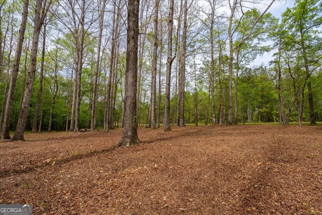 87 Wildwood Drive, Temple, GA 30179