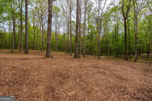 87 Wildwood Drive, Temple, GA 30179