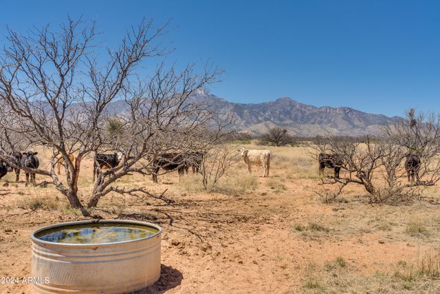 38 Acres 3 Canyons Boulevard P, Hereford, AZ 85615