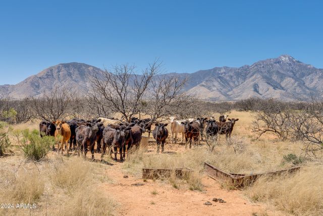 38 Acres 3 Canyons Boulevard P, Hereford, AZ 85615