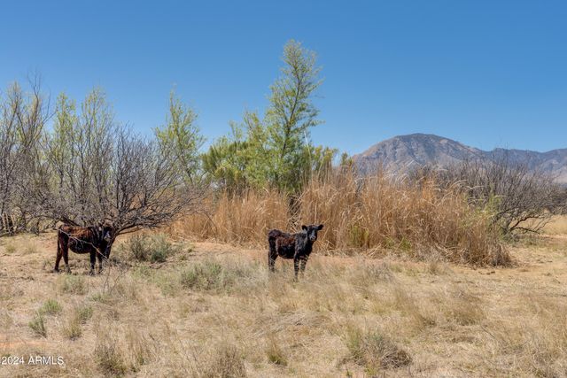 38 Acres 3 Canyons Boulevard P, Hereford, AZ 85615