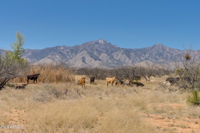 38 Acres 3 Canyons Boulevard P, Hereford, AZ 85615