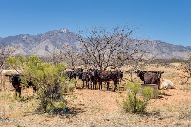 38 Acres 3 Canyons Boulevard P, Hereford, AZ 85615