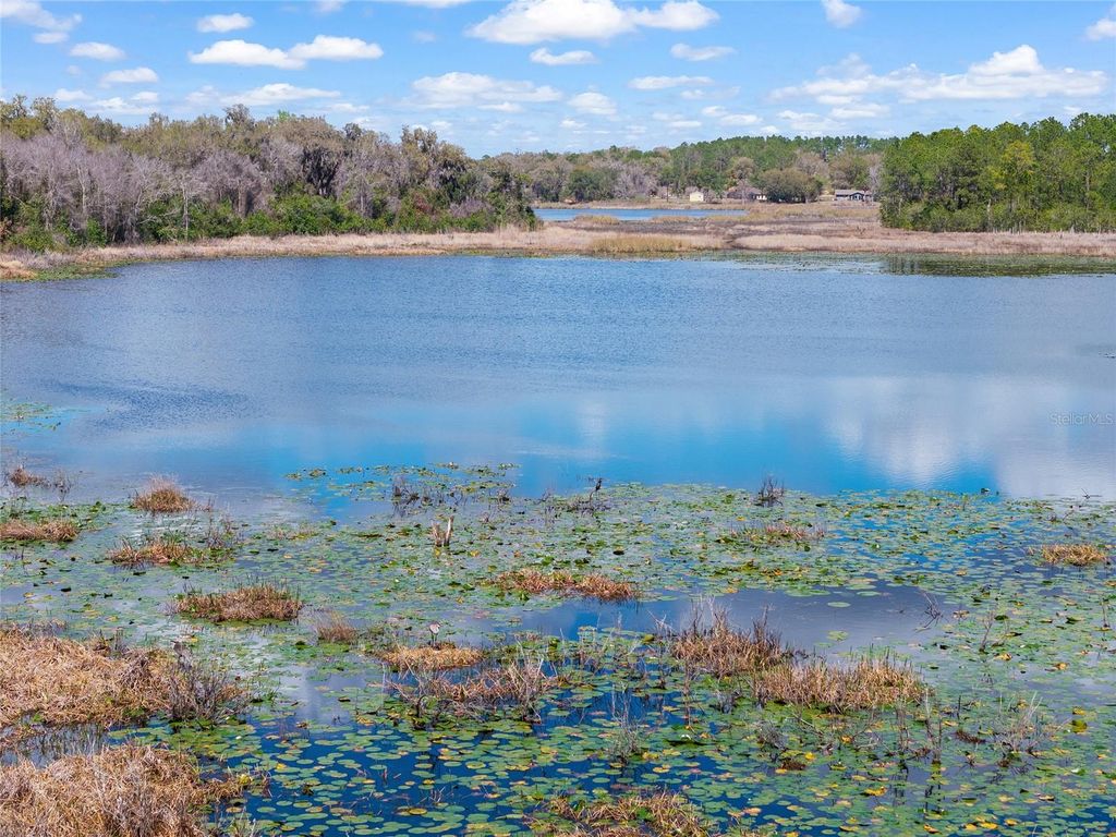 Image 86 of property listing at 11990 SE 112TH AVENUE ROAD, Belleview, FL 34420