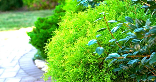 15 Walters Avenue, Syosset, NY 11791