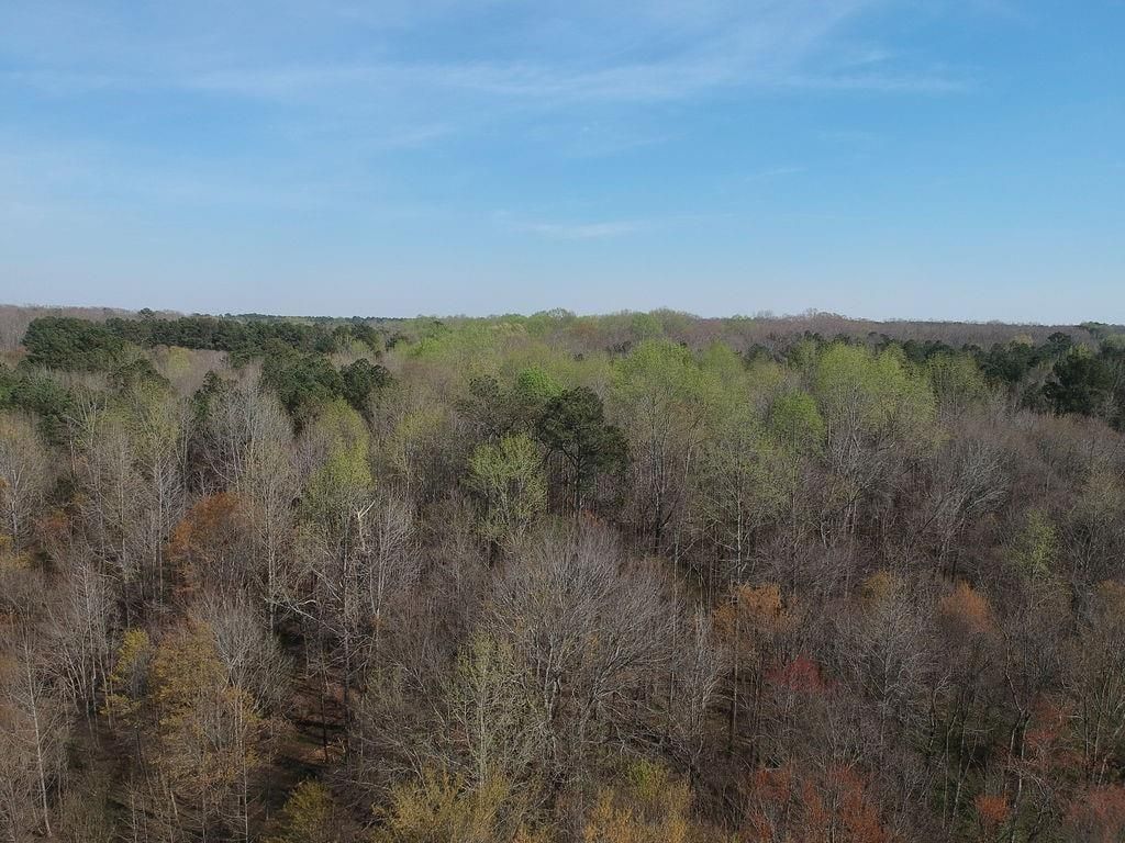 Image 2 of property listing at 0 Cobb Road, Covington, GA 30014
