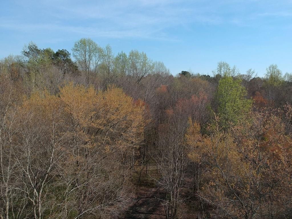 Image 4 of property listing at 0 Cobb Road, Covington, GA 30014
