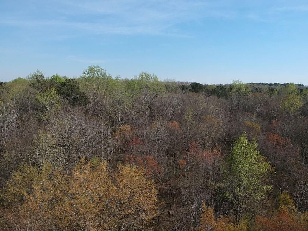 Image 5 of property listing at 0 Cobb Road, Covington, GA 30014