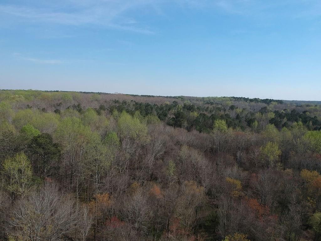 Image 6 of property listing at 0 Cobb Road, Covington, GA 30014