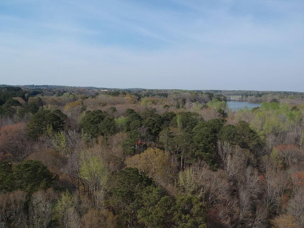 Image 8 of property listing at 0 Cobb Road, Covington, GA 30014