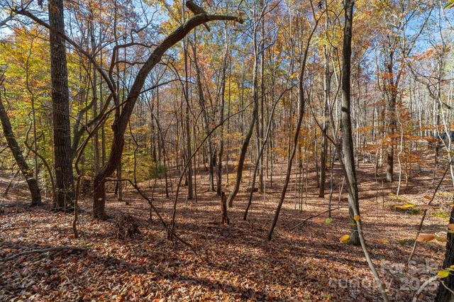 0 Nablus Drive 2, Waxhaw, NC 28173