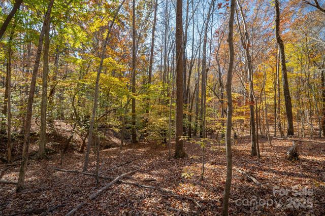 0 Nablus Drive 2, Waxhaw, NC 28173