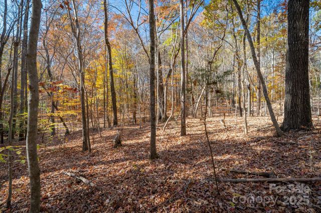 0 Nablus Drive 2, Waxhaw, NC 28173