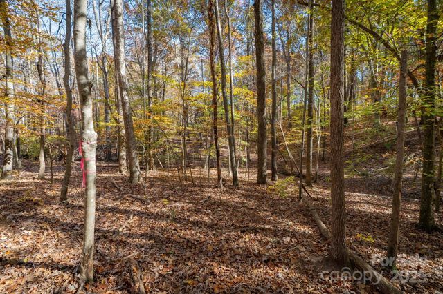 0 Nablus Drive 2, Waxhaw, NC 28173