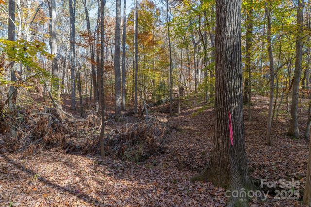 0 Nablus Drive 2, Waxhaw, NC 28173