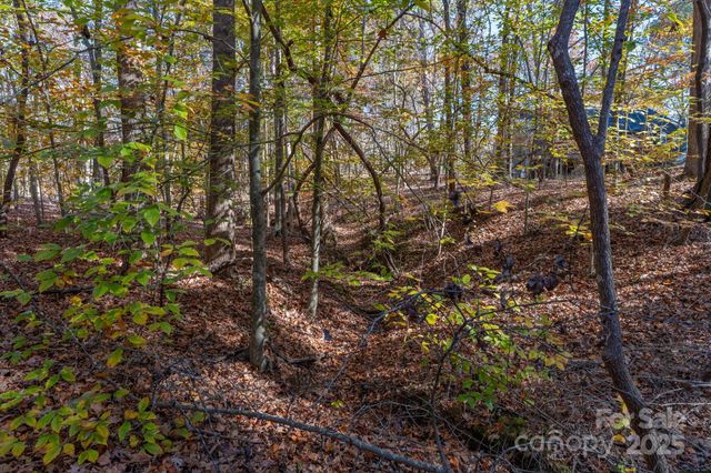 0 Nablus Drive 2, Waxhaw, NC 28173