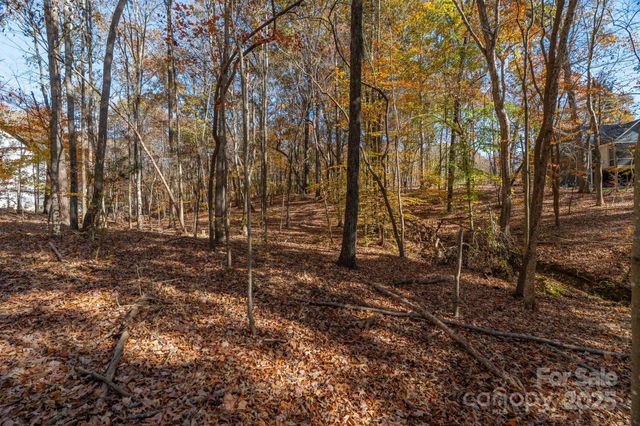 0 Nablus Drive 2, Waxhaw, NC 28173